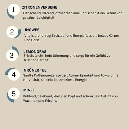 Focus Flow Tee – Klarer Kopf & Konzentration Mini (12 g)